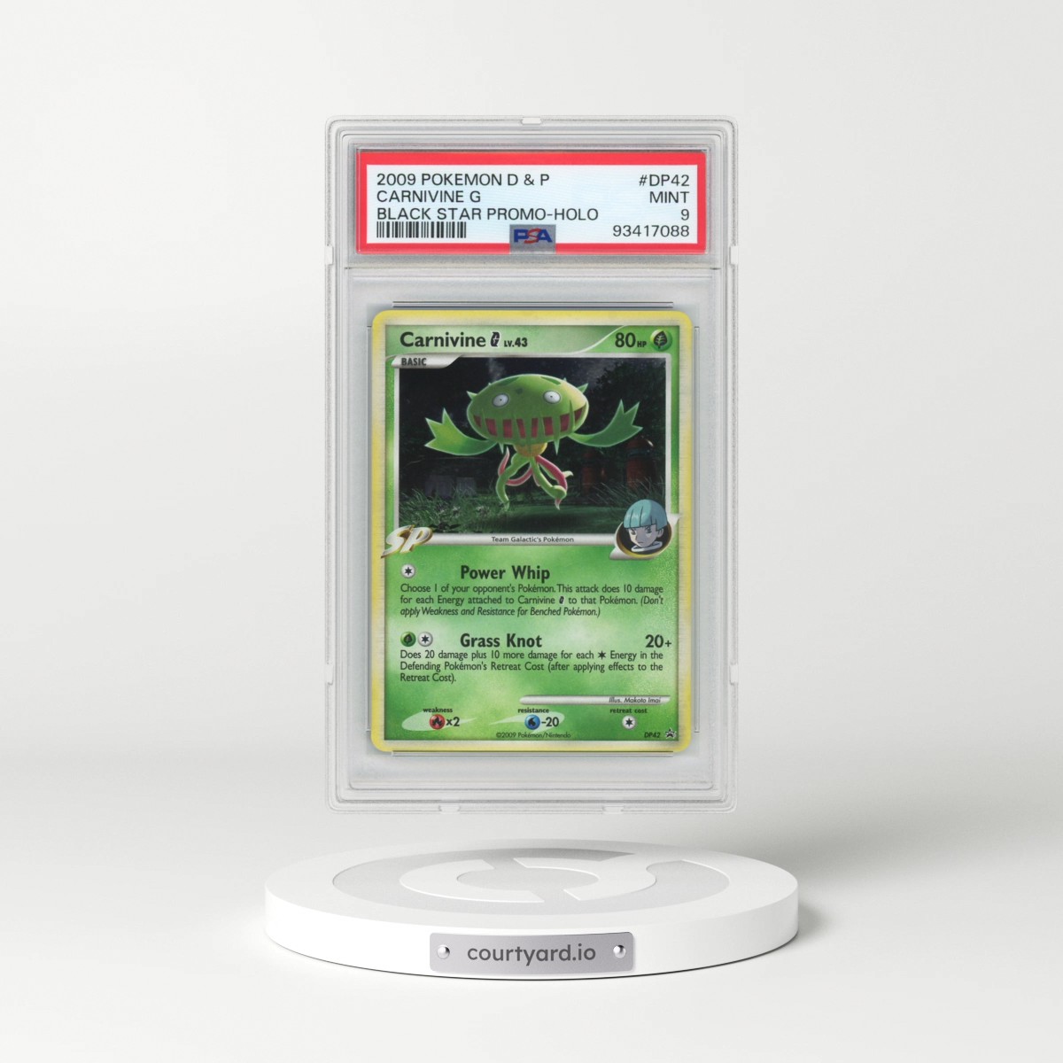 2009 Pokémon Diamond & Pearl Black Star Promo #DP42 Carnivine G - Holo (PSA 9 MINT)