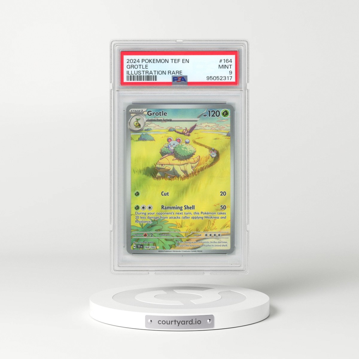 2024 Pokémon Tef EN-Temporal Forces #164 Grotle - Illustration Rare (PSA 9 MINT)