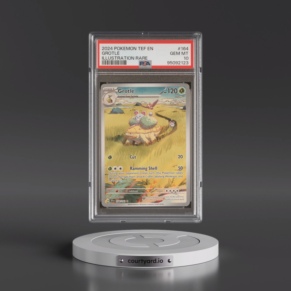 2024 Pokémon Tef EN-Temporal Forces #164 Grotle - Illustration Rare (PSA 10 GEM MINT)