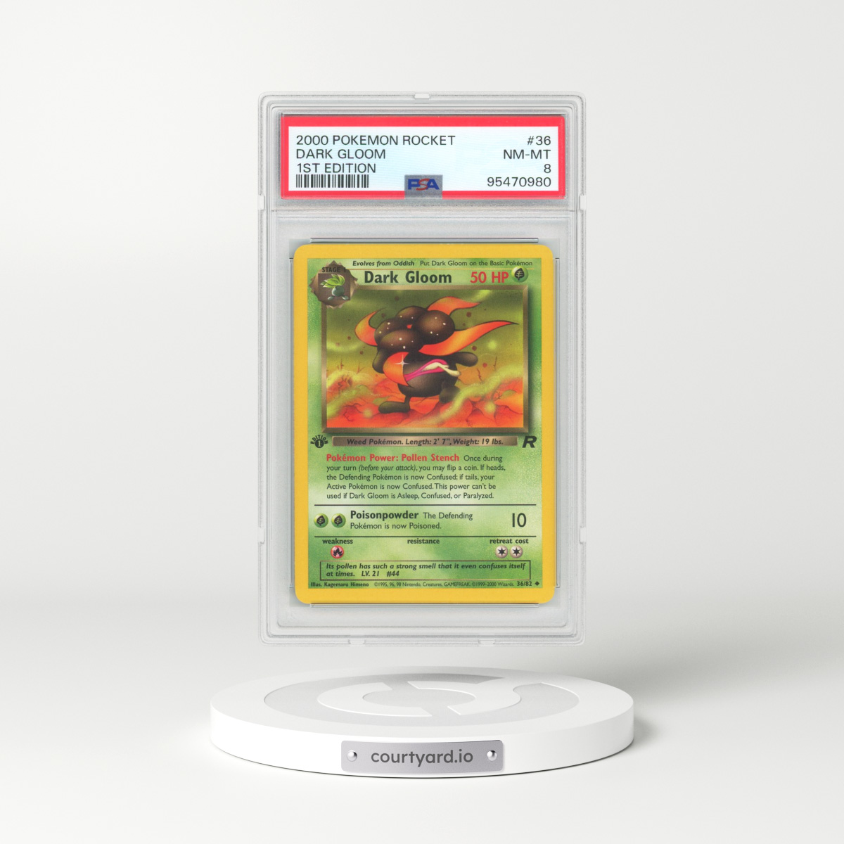2000 Pokémon Rocket #36 Dark Gloom - 1st Edition (PSA 8 NM-MT)