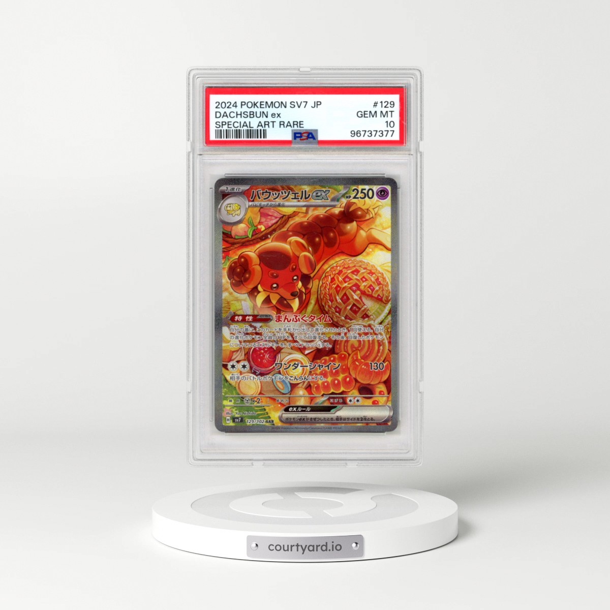 2024 Pokémon SV7-Stellar Miracle #129 Dachsbun EX - Holo Special Art Rare (PSA 10 GEM MINT)