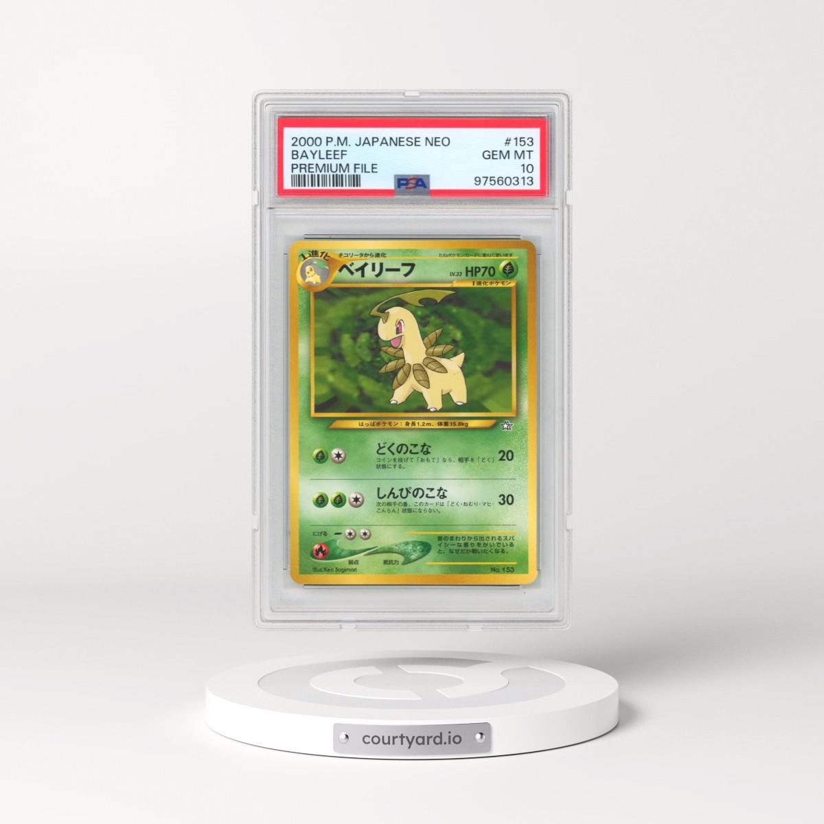 2000 Pokémon Neo #153 Bayleef - Premium File (PSA 10 GEM MINT)