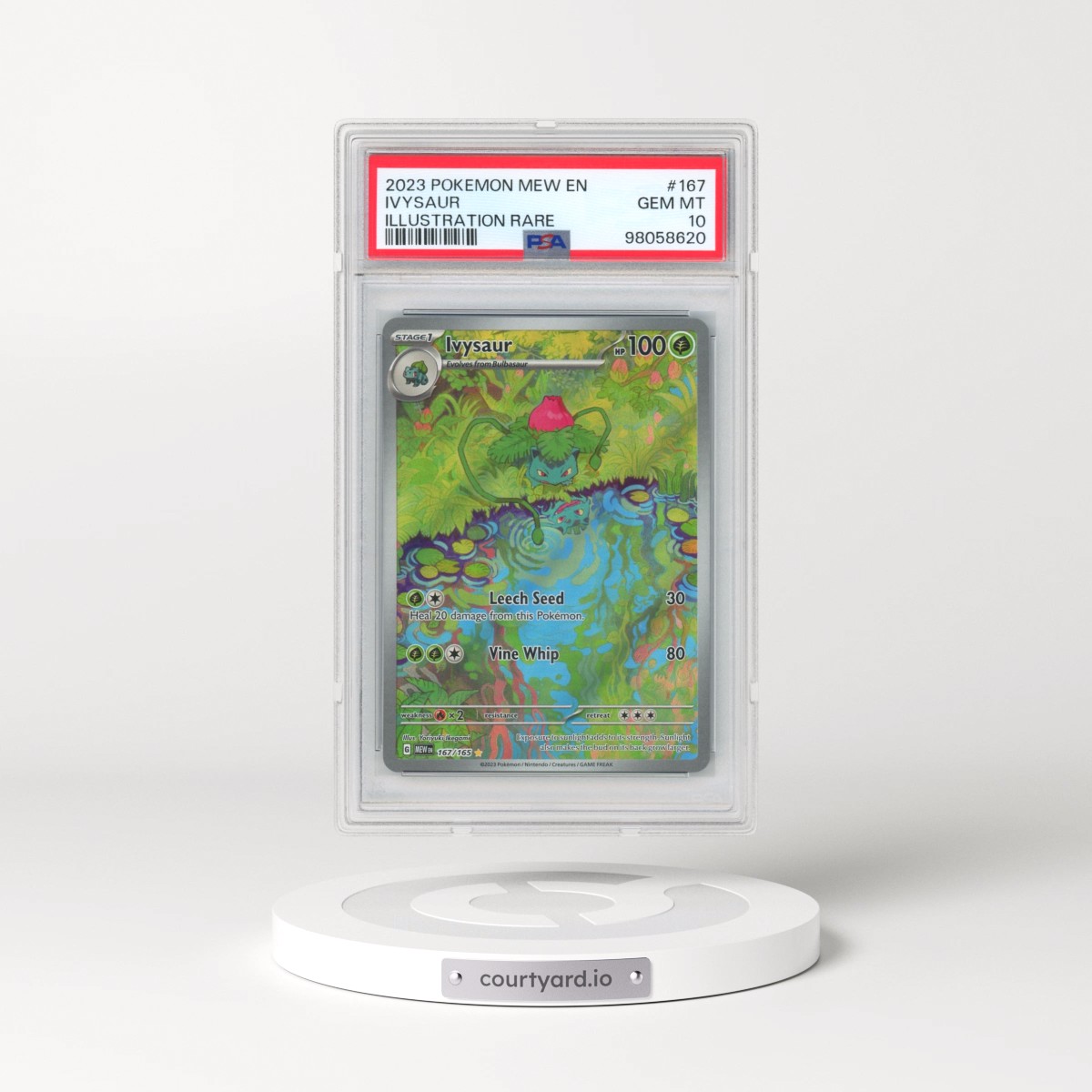 2023 Pokémon Mew EN-151 #167 Ivysaur - Illustration Rare (PSA 10 GEM MINT)