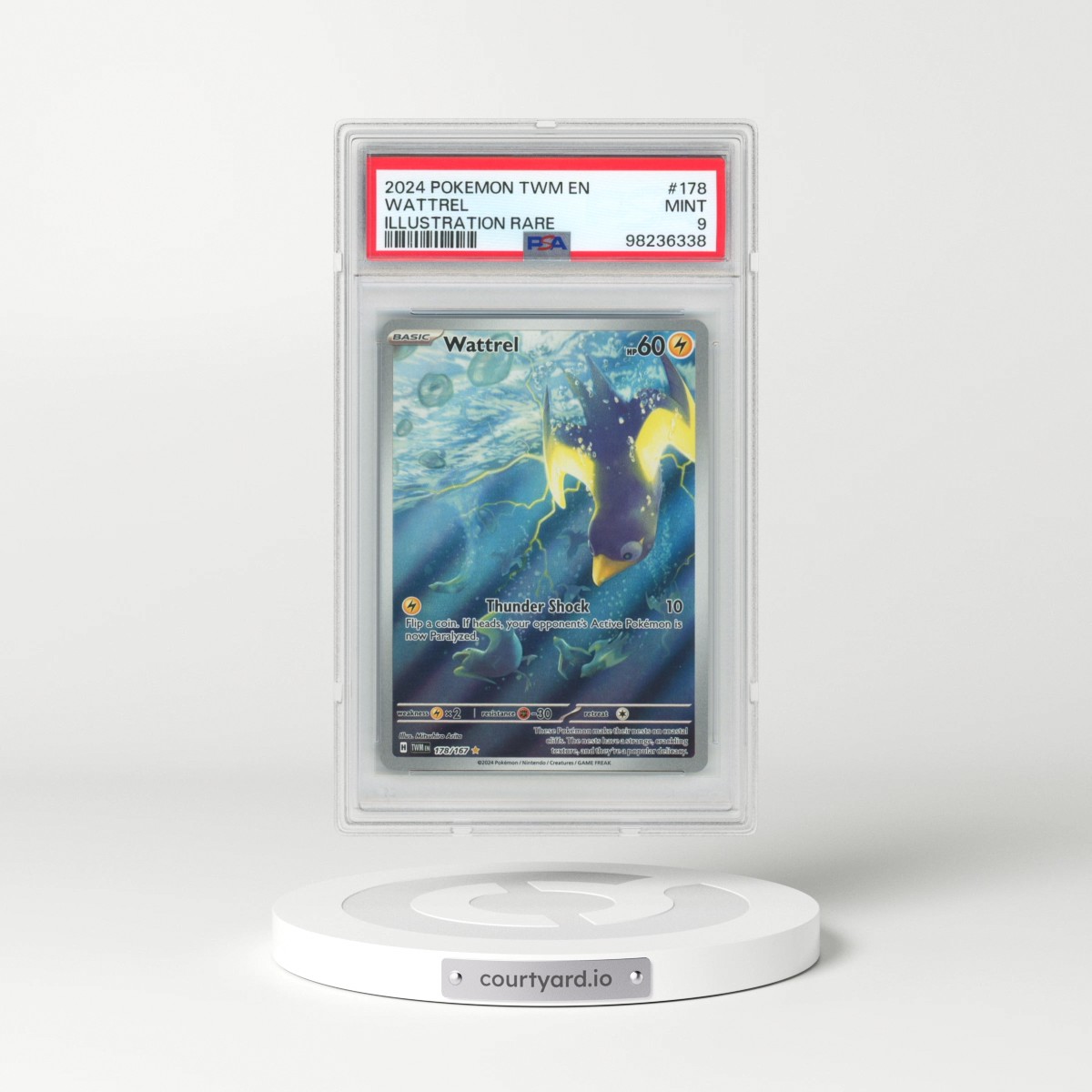 2024 Pokémon Twm EN-Twilight Masquerade #178 Wattrel - Illustration Rare (PSA 9 MINT)