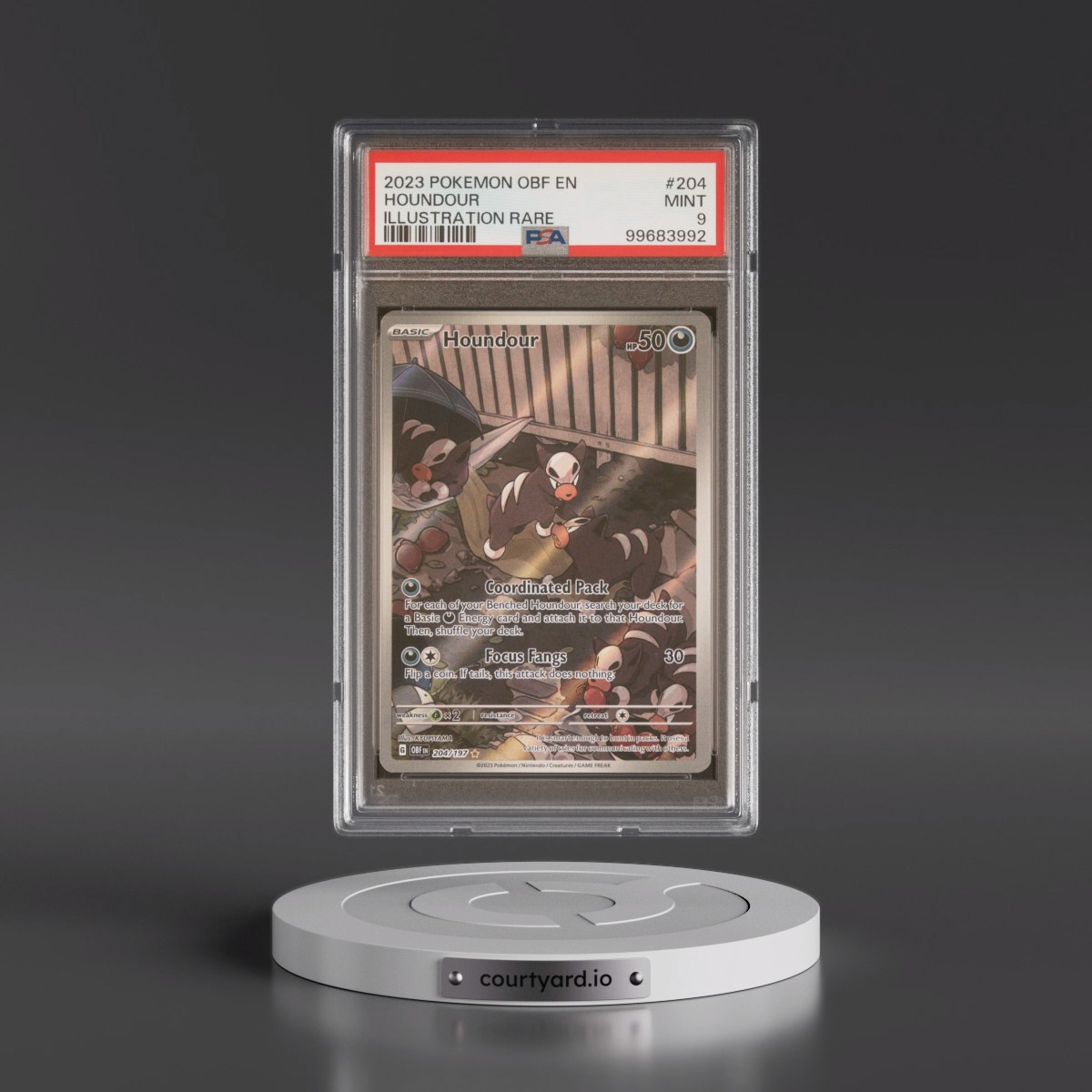 2023 Pokémon Obf EN-Obsidian Flames #204 Houndour - Illustration Rare (PSA 9 MINT)