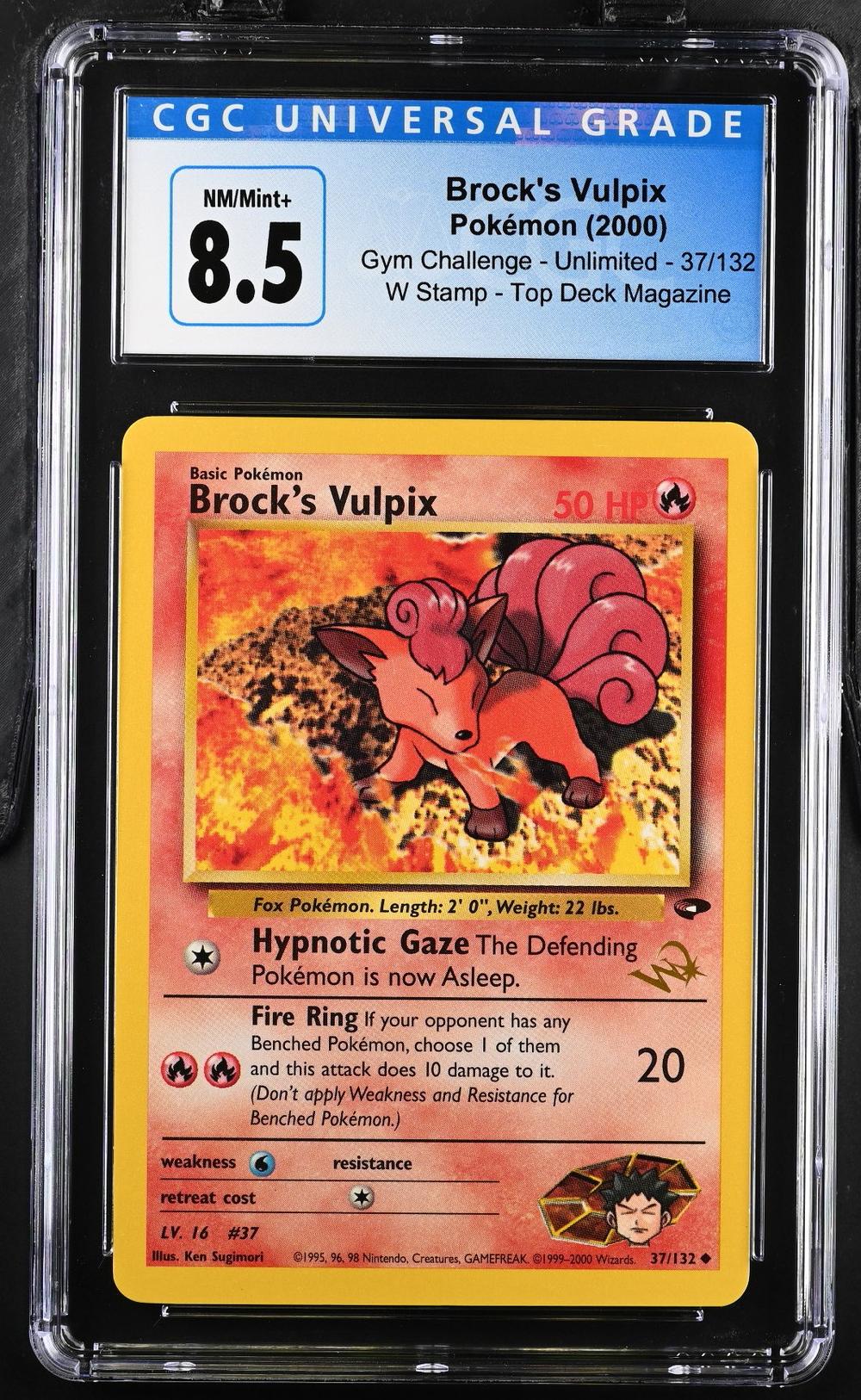 Brock's Vulpix
