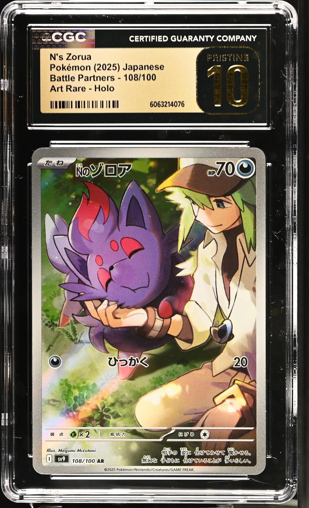 N's Zorua