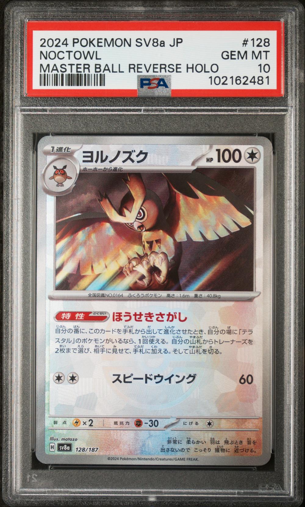 Noctowl