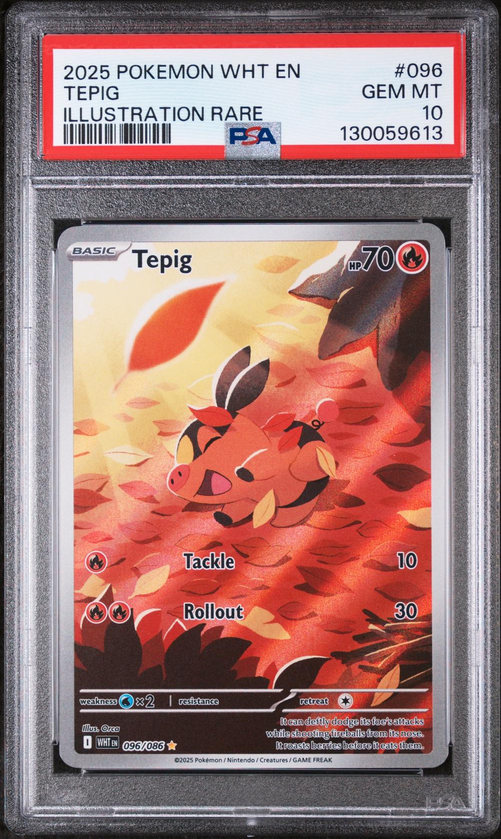 Tepig