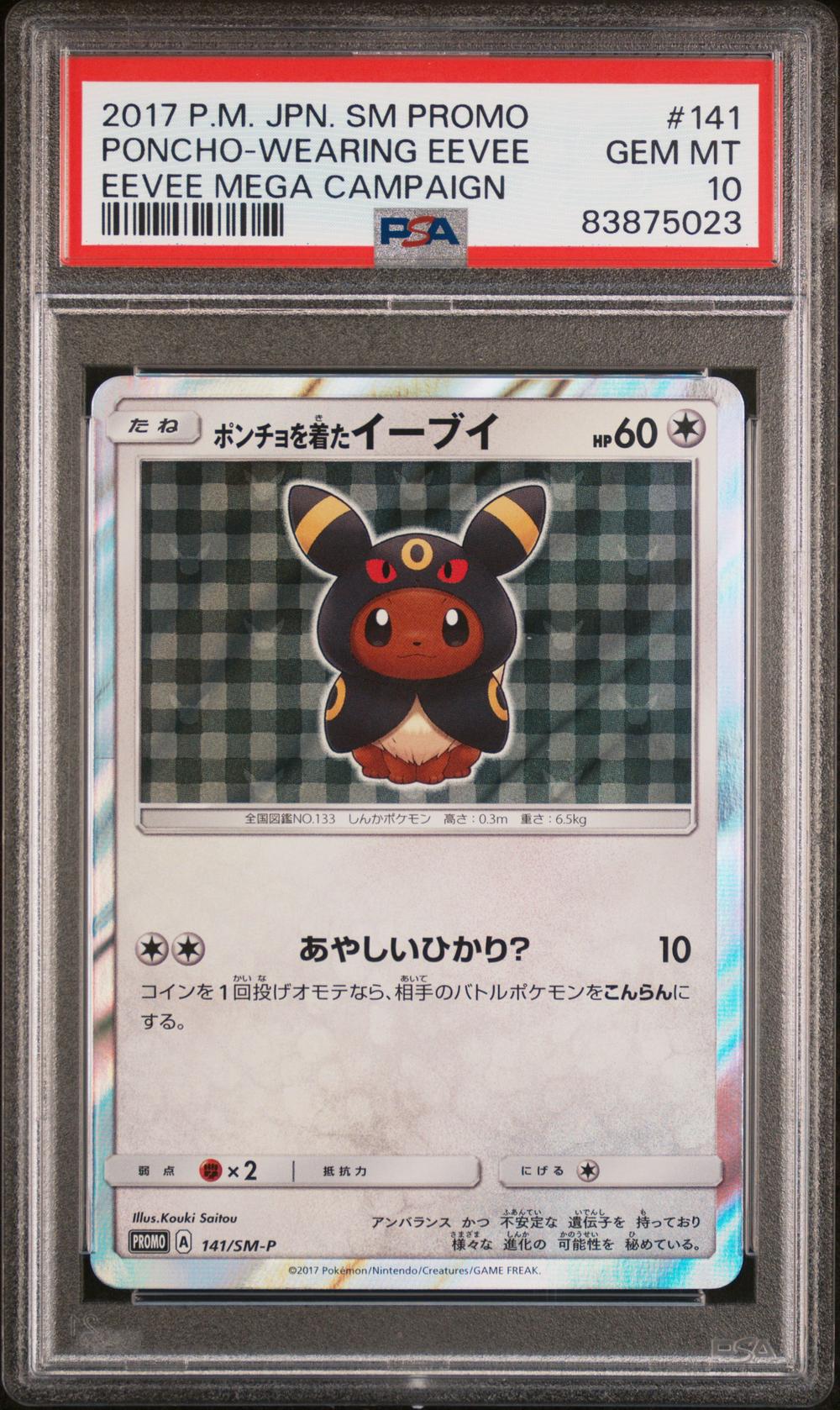 Poncho-Wearing Eevee