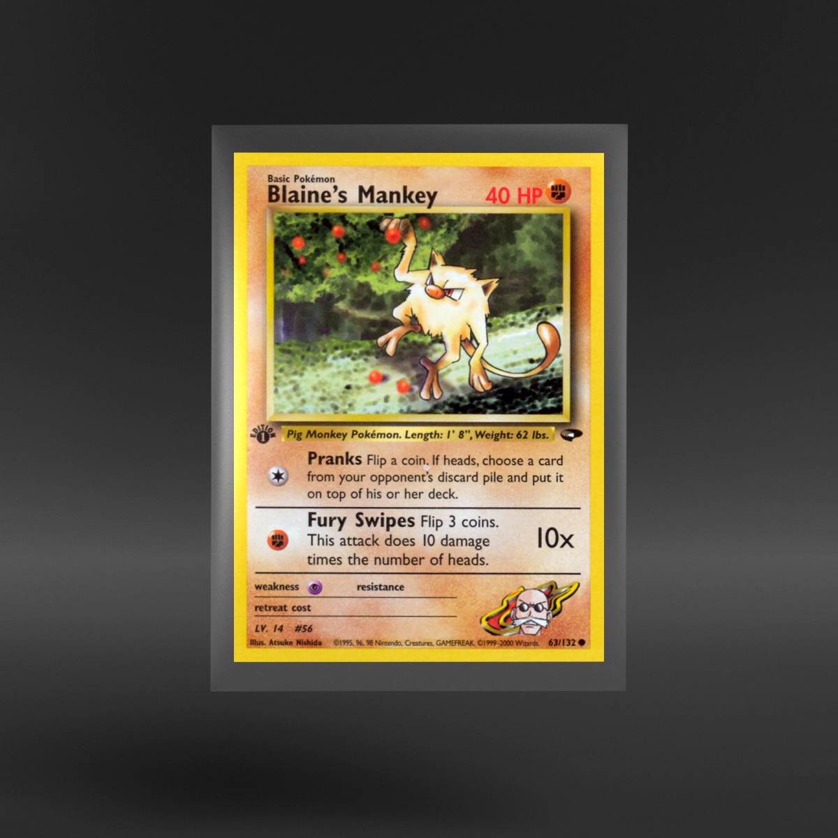 Gym Challenge #63/132 Blaine's Mankey