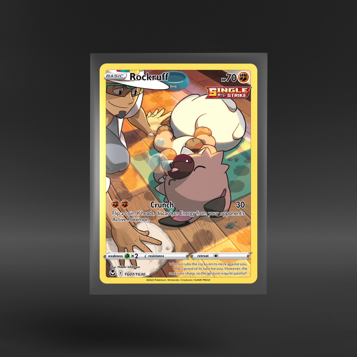 Silver Tempest Trainer Gallery #TG07/TG30 Rockruff