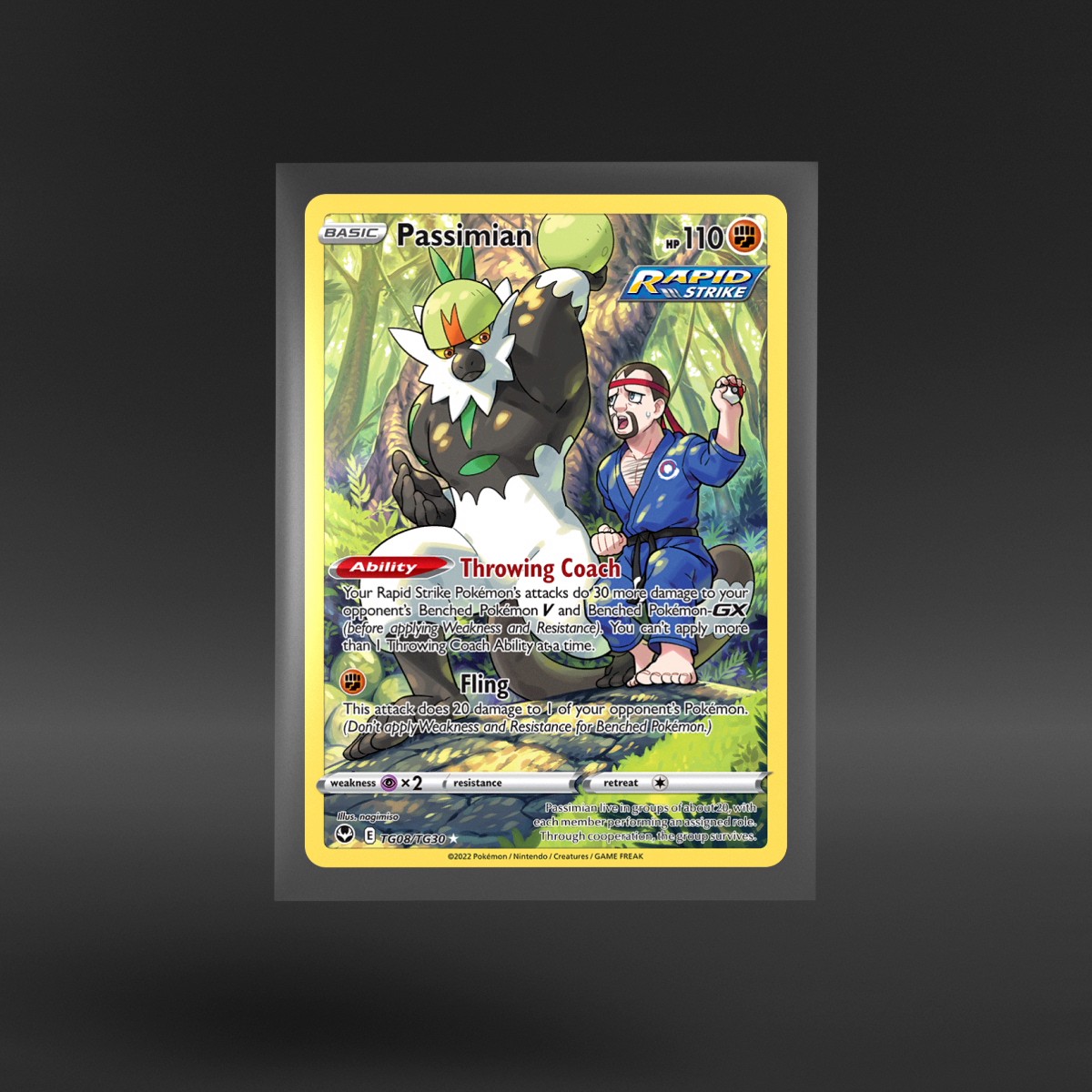 Silver Tempest Trainer Gallery #TG08/TG30 Passimian