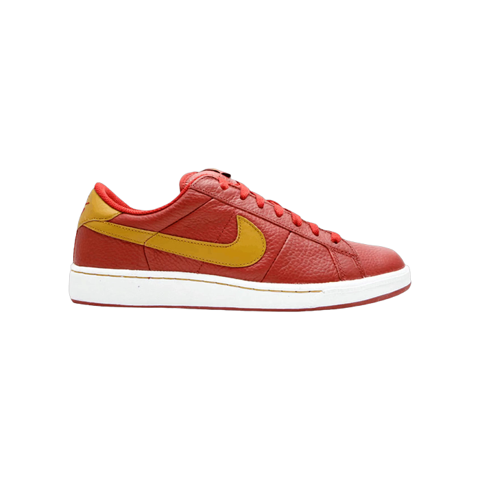 Nike Air Classic SB Dark Cayenne Bronzine - Size 9.5